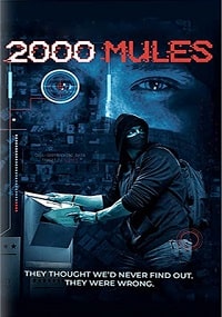 2000 мулов (2022)